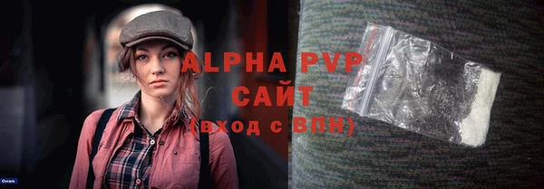 индика Беломорск