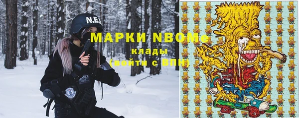 стаф Белокуриха
