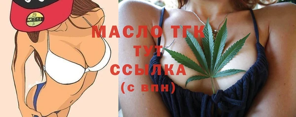 индика Беломорск