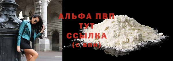 индика Беломорск