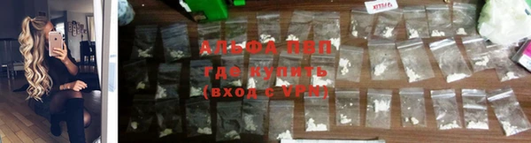 стаф Белокуриха