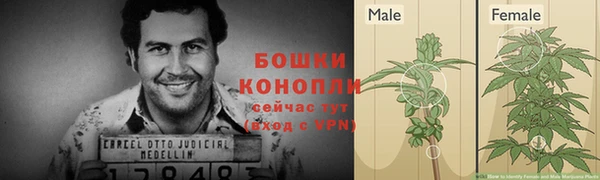 стаф Белокуриха