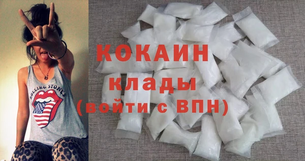 индика Беломорск