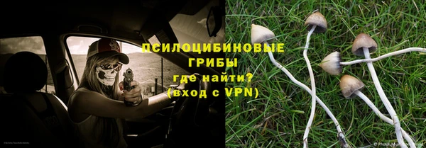 стаф Белокуриха