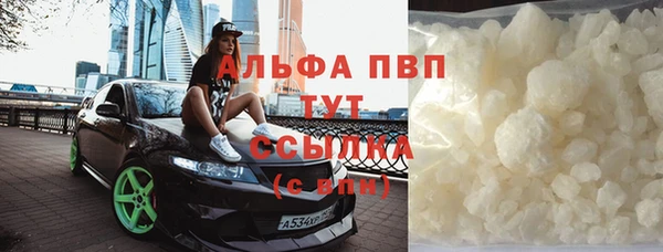 индика Беломорск