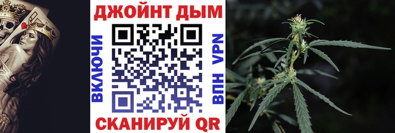 Шишки марихуана план  где купить наркоту  Верхняя Пышма 
